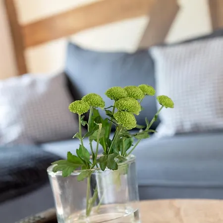 Hotel Gut Junkernhof Calden