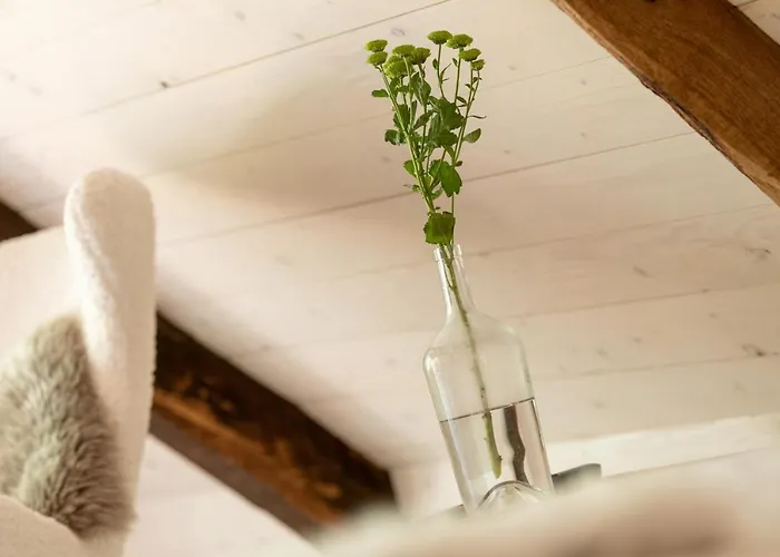 Szálloda Gut Junkernhof Calden