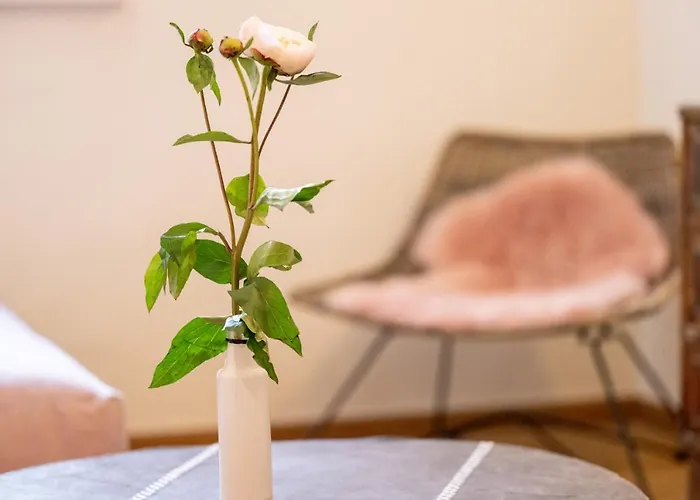 Szálloda Gut Junkernhof *